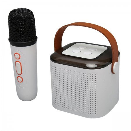 Wireless karaoke speaker with mic