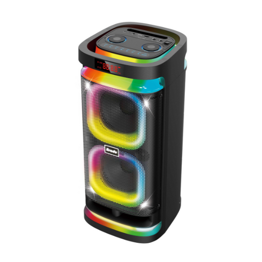 IKARAOKE BTS-1989 BRODU speaker
