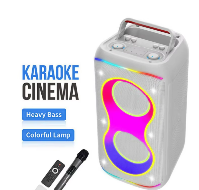 DR-6619 KARAOKE SPEAKER